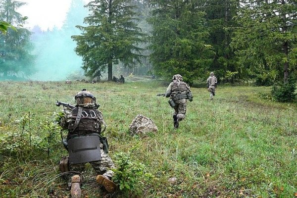 Что такое кракен маркет торкнет