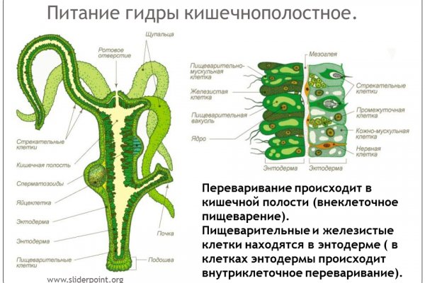 Как зайти на кракен через тор браузер