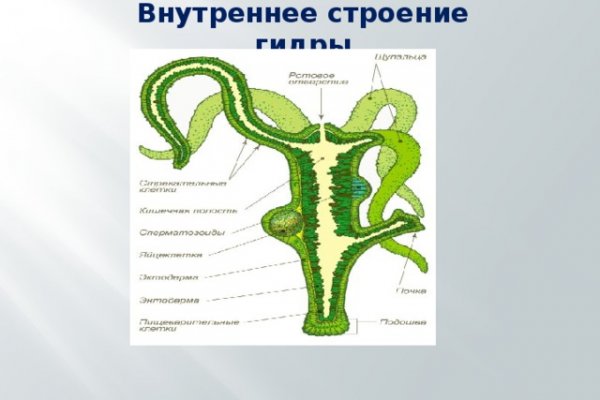 Что будет если зайти в кракен