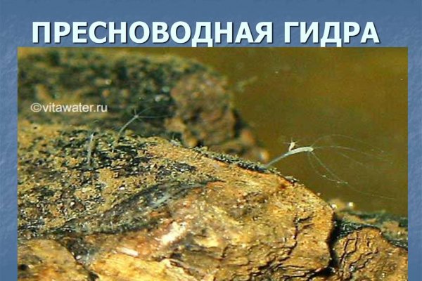 Kraken сайт kraken clear com
